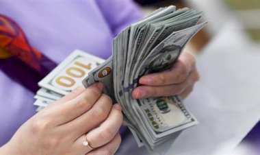 أسعار الدولار في مصر اليوم السبت