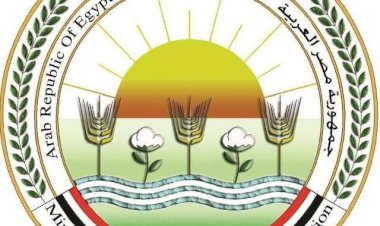 "الزراعة" تعلن ختام الحملة القومية للتحصين ضد الجلد العقدي وجدري الأغنام بتحصين 3.9 مليون رأس ماشية