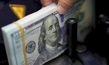 أسعار الدولار في مصر اليوم الإثنين