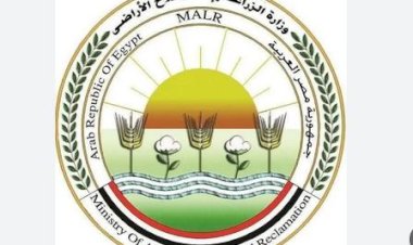 الزراعة تُحذر من تداول لقاحات مجهولة المصدر للتحصين ضد "الحمى القلاعية" سات ١