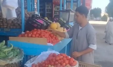 سعر الخضار والفاكهة اليوم الأربعاء في الأسواق