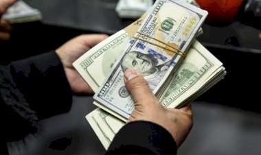 ارتفاع تحويلات المصريين بالخارج إلى 29.4 مليار دولار من السنة المالية 2025/2026