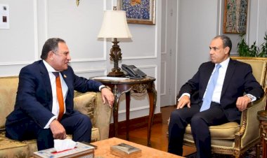 وزير الخارجية يلتقي رئيس لجنة الشئون العربية بمجلس النواب