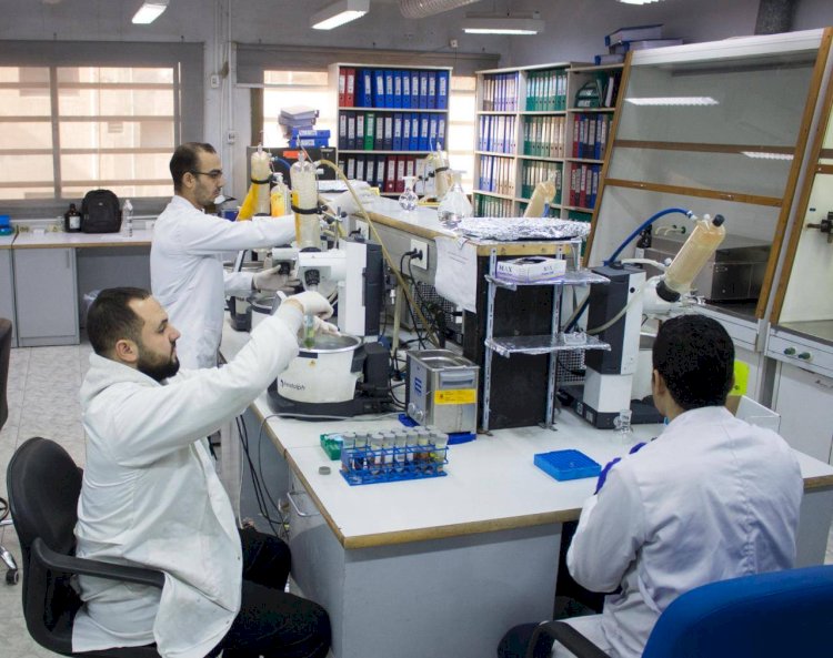 الزراعة: تحليل 111 ألف عينة غذائية خلال الربع الأول من 2026