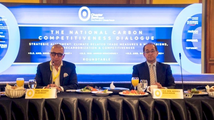 مصر تعزز التحول للطاقة المتجددة وخفض الكربون لتعزيز التنافسية الصناعية والاقتصادية