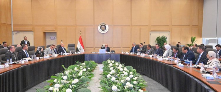 وزير الاستثمار: توجيه بدراسة الفرص الأكثر قابلية للتنفيذ وتأكيد استمرارية التعاون مع الجانب الكوري