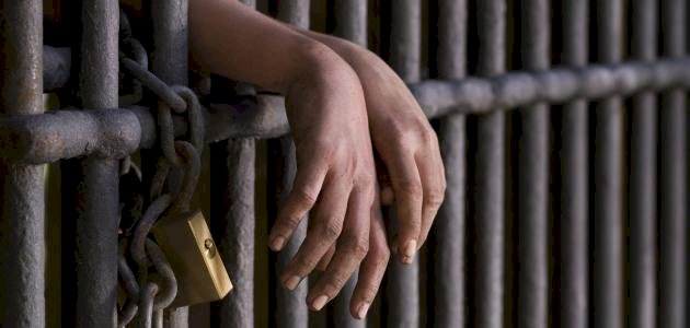 الحكم بالسجن 10 سنوات على شخصين لاتهامهما بتزوير محررات بالبحيرة