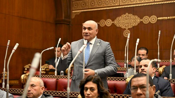 عضو بالشيوخ: توجيهات الرئيس السيسي تعزز كفاءة الأسواق وتحقق التوازن بين الإنتاج والاستهلاك