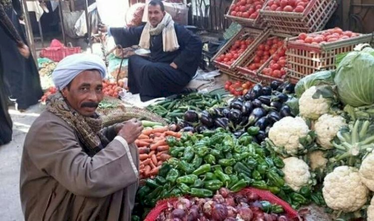 سعر الخضار والفاكهة اليوم الأربعاء في الأسواق