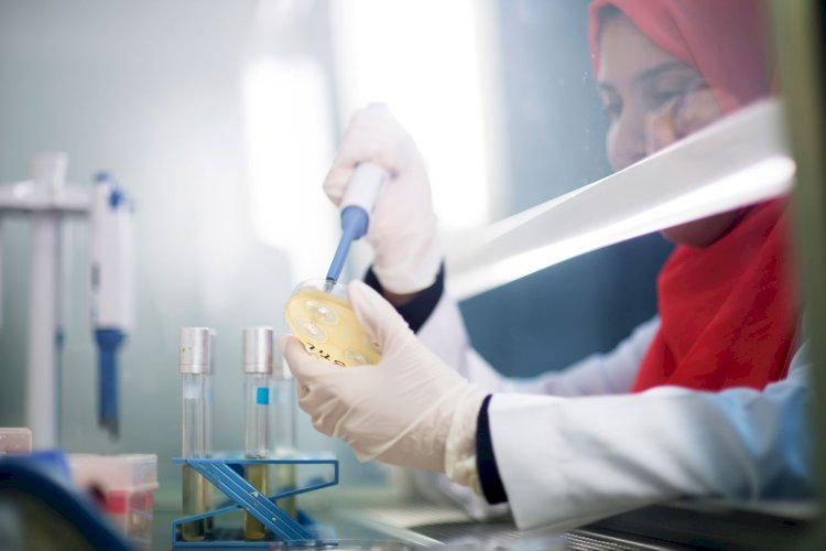 "الزراعة: رفع القدرة الاستيعابية لـ 'المركزي لمتبقيات المبيدات' إلى 400 ألف عينة سنويًا لدعم المصدرين"