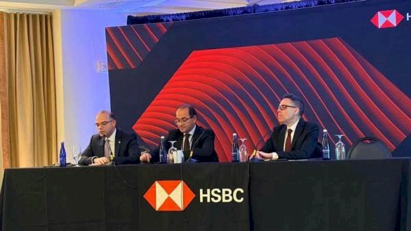 وزير الاستثمار يجري حوار مفتوح مع قيادات HSBC وبنك التسوية الدولي BIS لتعزيز الرقابة والترويج للاستثمار والرقمنة
