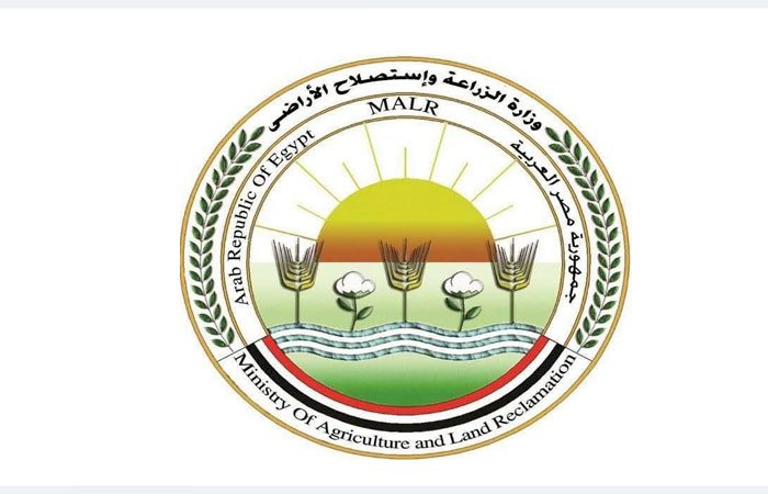 "الزراعة" تعلن تحصين أكثر من 3 مليون رأس ماشية ضمن الحملة القومية ضد الجلد العقدي وجدري الأغنام حتى الآن