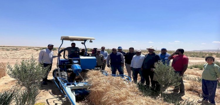 وزير الزراعة يستعرض حصاد عام من "جهود التنمية الزراعية" في سيناء