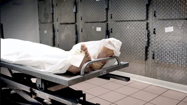 مصرع ميكانيكي شاب بعد طعنه في مشاجرة بالفرافرة في الوادي الجديد