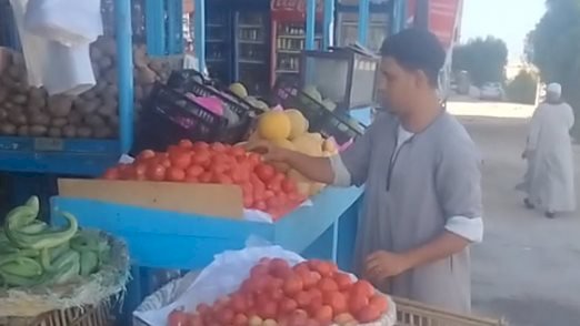 سعر الخضار والفاكهة اليوم الأربعاء في الأسواق