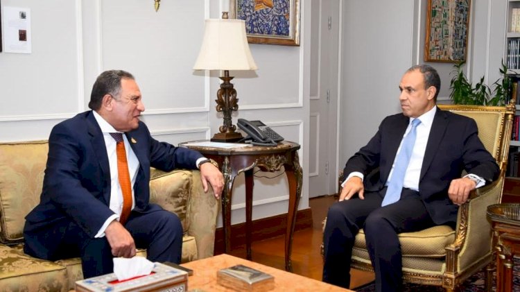 وزير الخارجية يلتقي رئيس لجنة الشئون العربية بمجلس النواب