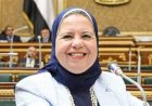 برلمانية : الحسابات الختامية مرآة حقيقية تعكس كفاءة الأداء الحكومي وليست مجرد أرقام