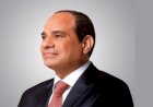 برلماني: كلمة الرئيس بيوم إفريقيا يقود مصر لرؤية شاملة لتعزيز التكامل والتنمية في القارة السمراء
