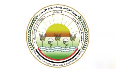 "الزراعة" تصدر حزمة توصيات عاجلة للمزارعين والمربين لمواجهة التقلبات الجوية الحادة