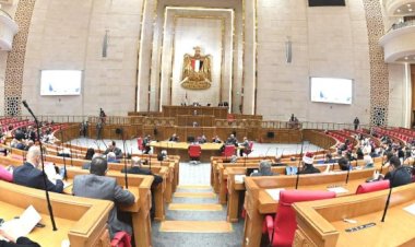 برلماني يطالب الحكومة بتنفيذ توصيات الجهاز المركزى للمحاسبات لحل مشكلات الموازنة