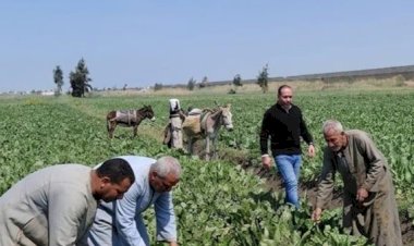 "الزراعة" تعزز التحول نحو الزراعة النظيفة بمنتجات ترفع كفاءة التربة والإنتاج