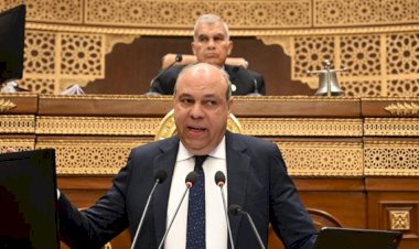 وزير الطيران يكشف خطة إنقاذ مصر للطيران وتطوير الخدمة