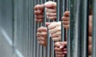 محاكمة 20 متهما بخلية الهيكل الإداري للإخوان في أوسيم