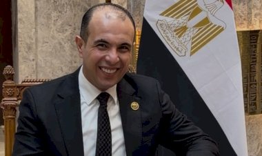 برلماني: ملف الطاقة المتجددة يعزز أمن الطاقة ويدعم الصناعة الوطنية