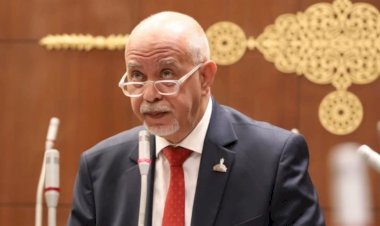 حازم الجندى: توجيه الرئيس بتسريع مسار الاستدامة المالية يحمل بعدا اجتماعيا