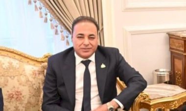 برلماني : مشاركة الرئيس السيسي في الاتصال الإقليمي مع ترامب تجسد ثقل مصر السياسي