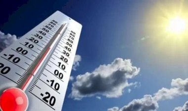 طقس أول أيام عيد الأضحى.. شبورة صباحية ونشاط للرياح والعظمى بالقاهرة 30 درجة