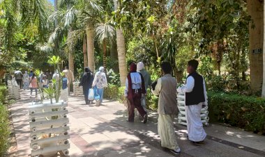 الحديقة النباتية بأسوان تستقبل 1950 زائرا خلال عيد الأضحى المبارك