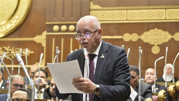 النائب حازم الجندى: كشف الغاز الجديد بدلتا النيل يدعم خفض فاتورة الاستيراد