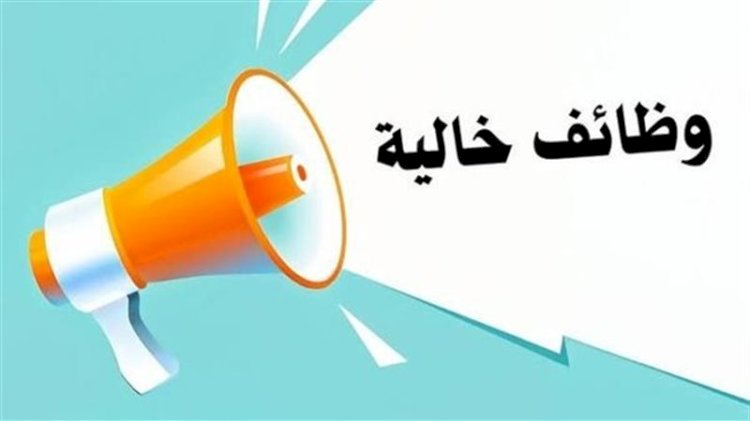وزارة العمل تعلن عن وظائف سائقين براتب 13 ألف جنيه.. تفاصيل
