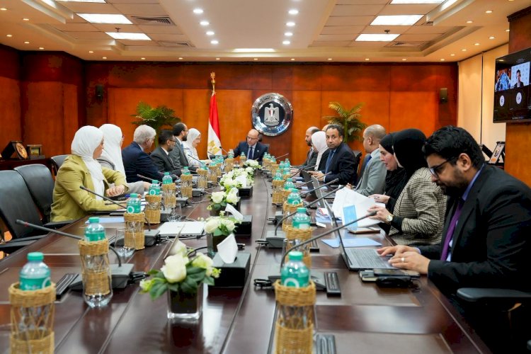 وزير الاستثمار يبحث مع منظمة الأمم المتحدة للتنمية الصناعية (يونيدو) سبل تعزيز التنافسية وجذب الاستثمارات