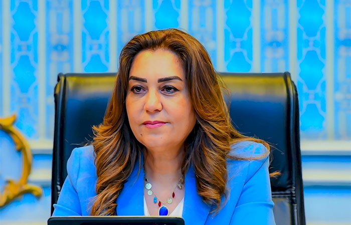 وزيرة التنمية المحلية والبيئة تعلن التشغيل التجريبي لمجزر دراو بمحافظة أسوان