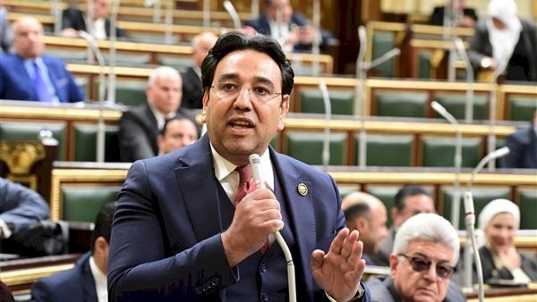 نائب: تصدر الشركات المصرية قائمة فاينانشيال تايمز يعكس نجاح الإصلاح الاقتصادى