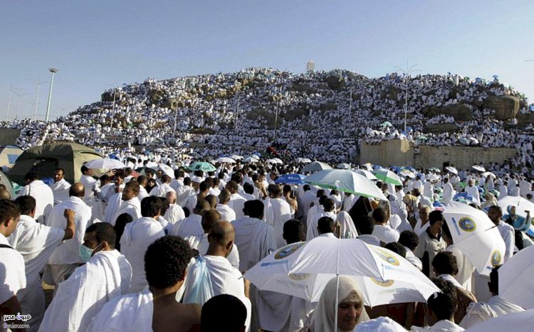 بإجمالي 40,713 حاجاً..السياحة وصول جميع حجاج السياحة لهذا الموسم إلى الأراضي المقدسة