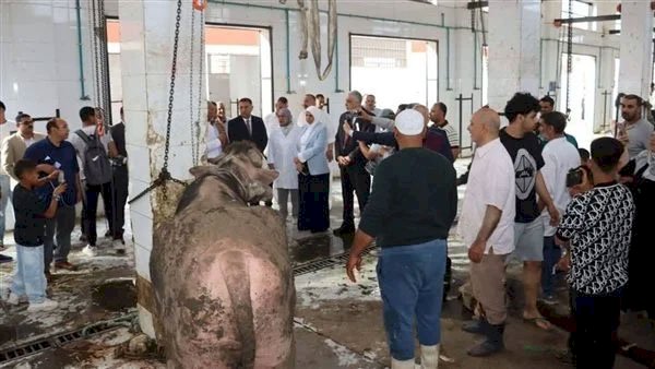 الزراعة تواصل الطوارئ في أول أيام العيد: الإشراف على ذبح الأضاحي مجاناً بالمجازر
