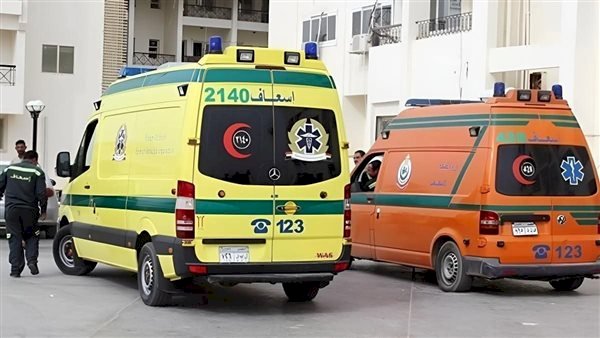 مصرع شقيقين إثر انقلاب سيارتهما في مياه إحدي الترع بالدقهلية