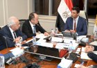 استثمارات صينية بـ550 مليون دولار لإنشاء مصنع إطارات جديد في مصر وتوفير 1600 فرصة عمل
