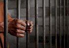 السجن المشدد 15 عامًا لقاتل "رجب" ضحية الشهامة في بورسعيد