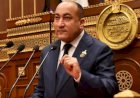 برلمانى: 30 يونيو حكاية وطن انتصر بإرداة شعبية خالصة وقائد شجاع وجيش وطنى