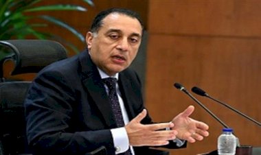 الجريدة الرسمية تنشر قرارا بشأن إصدار اللائحة التنفيذية لقانون لجوء الأجانب