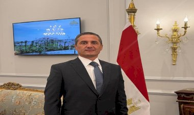 برلماني: رأس المال العالمي يفتقر لأدنى مقومات الأمان