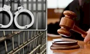 باعوا  السيارات بمستندات مزيفة.. تأجيل محاكمة «مافيا التوكيلات المزورة» لـ 10 يونيو                   