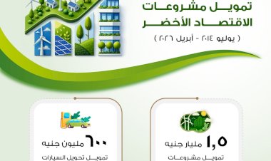 الاقتصاد الأخضر يتوسع في مصر.. جهاز تنمية المشروعات يعلن ضخ تمويلات جديدة للمشروعات الصغيرة والمتوسطة