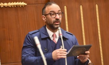 لحين صدور قانون الأسرة.. "الحمامصى" يطالب بزيادة الرؤية إلى 6 ساعات