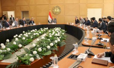 مباحثات مصرية صينية لتطوير الشبكة القومية ورفع قدرات الطاقة المتجددة والتخزين