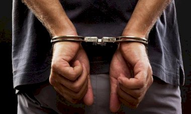 ضبط شخص استولى على هاتفيين من سيدة مقيمة بالخارج